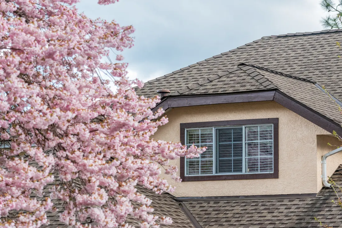 Architectural asphalt shingles close up